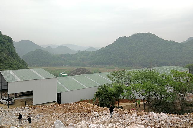 Vνĕra(chn)800ʯʯɳa(chn)